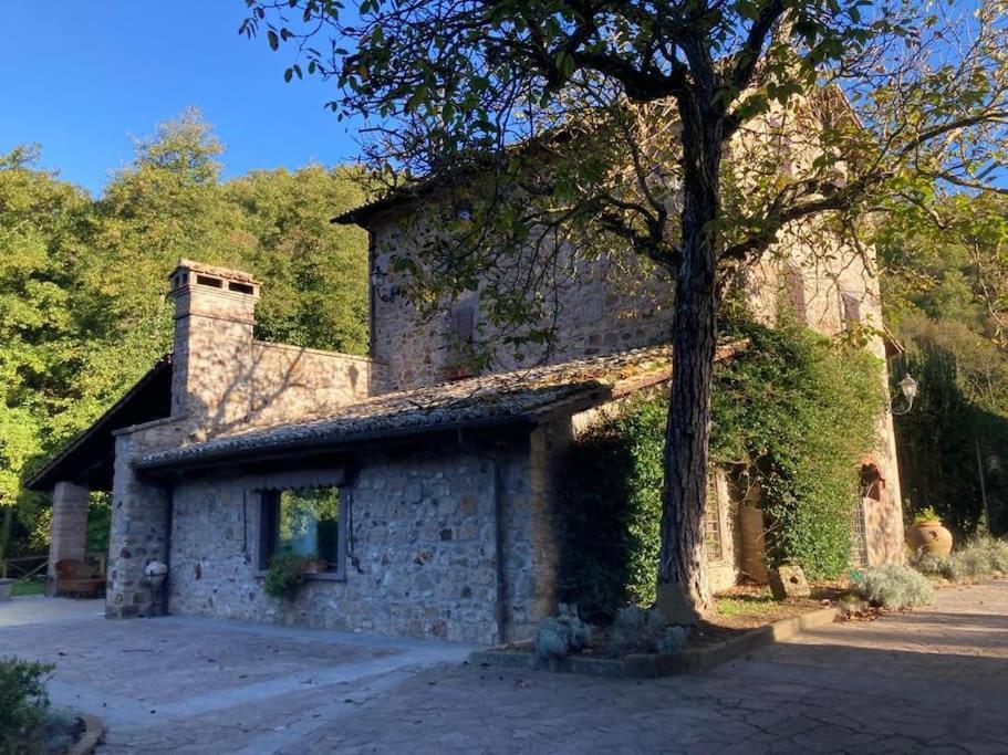 La Torre - Tuscia-Con Piscina - Viterbo-Bagnoregio Villa Celleno Bagian luar foto