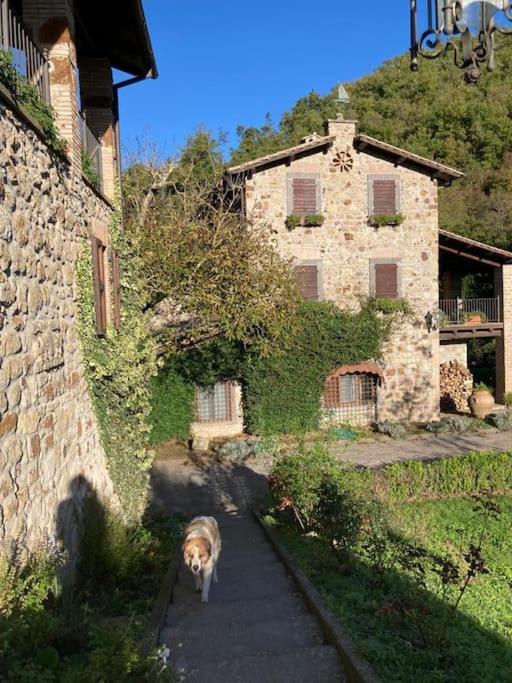 La Torre - Tuscia-Con Piscina - Viterbo-Bagnoregio Villa Celleno Bagian luar foto