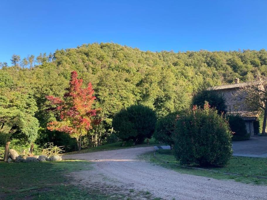 La Torre - Tuscia-Con Piscina - Viterbo-Bagnoregio Villa Celleno Bagian luar foto