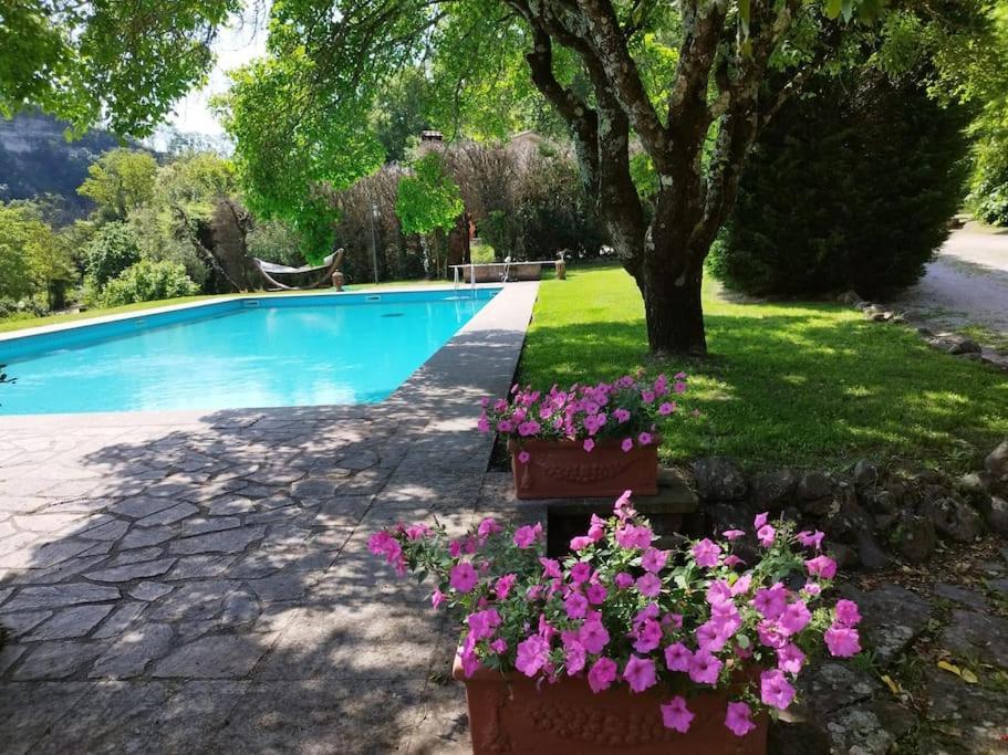 La Torre - Tuscia-Con Piscina - Viterbo-Bagnoregio Villa Celleno Bagian luar foto